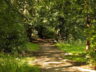 Footpath_though_Epping_Forest,_in_Epping_Upland,_Essex.jpg